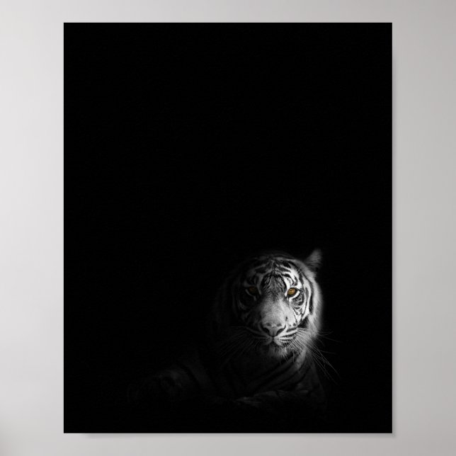 Tiger, svartvit fotografi, poster (Framsidan)