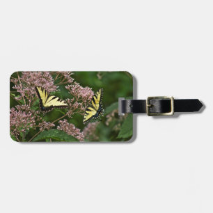 Tiger Swallowtail Butterflies på Joe Pye Ogräs Bagagebricka