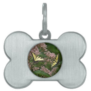 Tiger Swallowtail Butterflies på Joe Pye Ogräs ID-bricka Husdjur