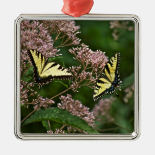Tiger Swallowtail Butterflies på Joe Pye Ogräs Julgransprydnad Metall