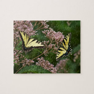 Tiger Swallowtail Butterflies på Joe Pye Ogräs Pussel