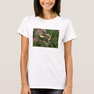 Tiger Swallowtail Butterflies på Joe Pye Ogräs Tee Shirt