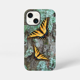 Tiger Swallowtail Butterfly