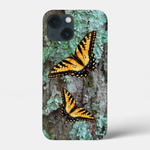 Tiger Swallowtail Butterfly