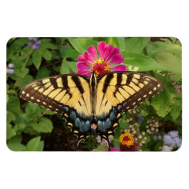 Tiger Swallowtail Butterfly 4"x6"-magnet Magnet