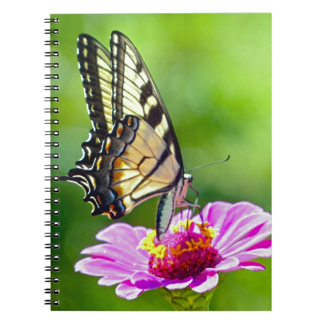 Tiger Swallowtail Butterfly Anteckningsbok Med Spiral (Framsidan)