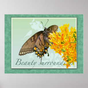 Tiger Swallowtail Butterfly Beauty Surrounds USA Poster