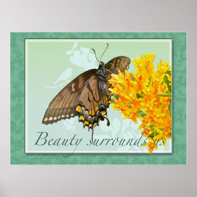 Tiger Swallowtail Butterfly Beauty Surrounds USA Poster (Framsidan)