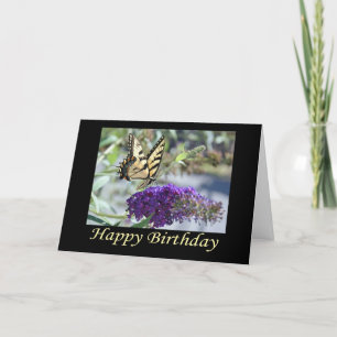 Tiger Swallowtail Butterfly Birthday Card Kort