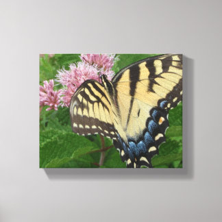 Tiger Swallowtail Butterfly Canvastryck