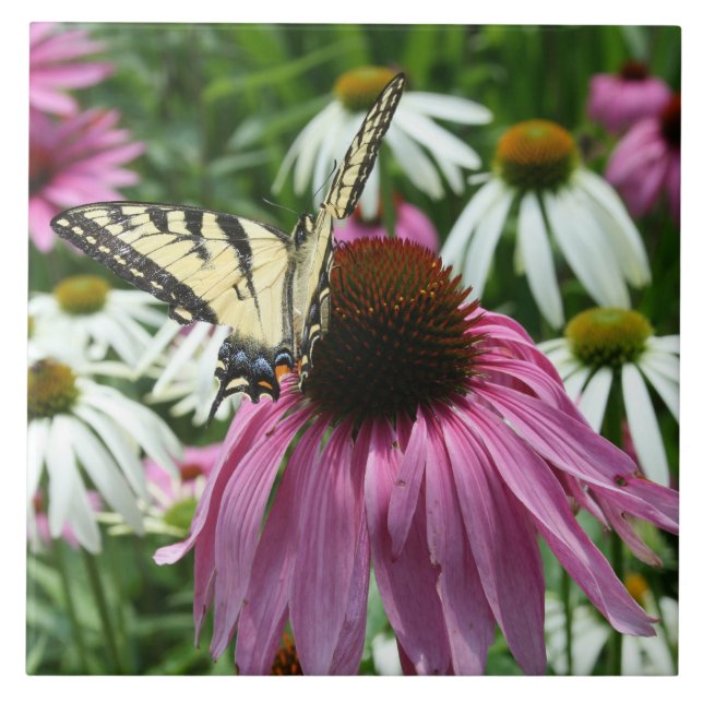 Tiger Swallowtail Butterfly Ceramic Tile Kakelplatta (Framsidan)
