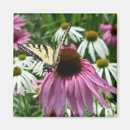 Tiger Swallowtail Butterfly Coneflower Magnet