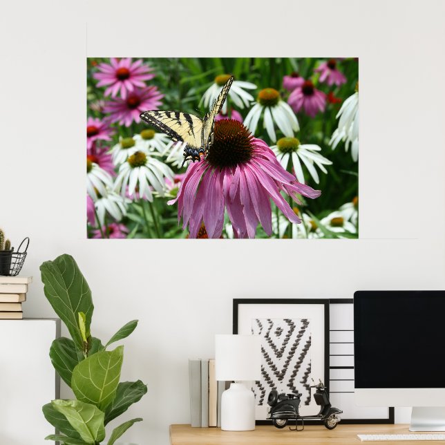 Tiger Swallowtail Butterfly Coneflower Poster (Hemmakontoret)