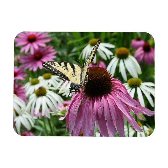Tiger Swallowtail Butterfly Flower Flexible Magnet (Horisontell)