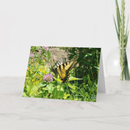 Tiger Swallowtail Butterfly - Klöver Helgkort