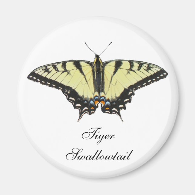 Tiger Swallowtail Butterfly Magnet (Framsidan)