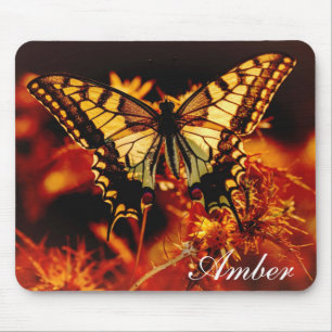 Tiger Swallowtail Butterfly Musmatta