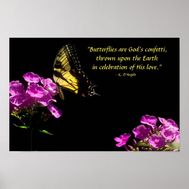 Tiger Swallowtail Butterfly och Vild Phlox Poster (Framsidan)