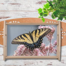 Tiger Swallowtail Butterfly på Wildblomma