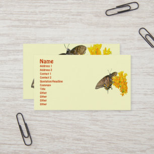Tiger Swallowtail Butterfly (Papilio glaucas) Item Visitkort