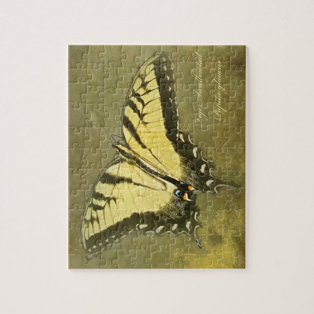 Tiger Swallowtail Butterfly - Papilio glaucus Pussel (Vertikal)