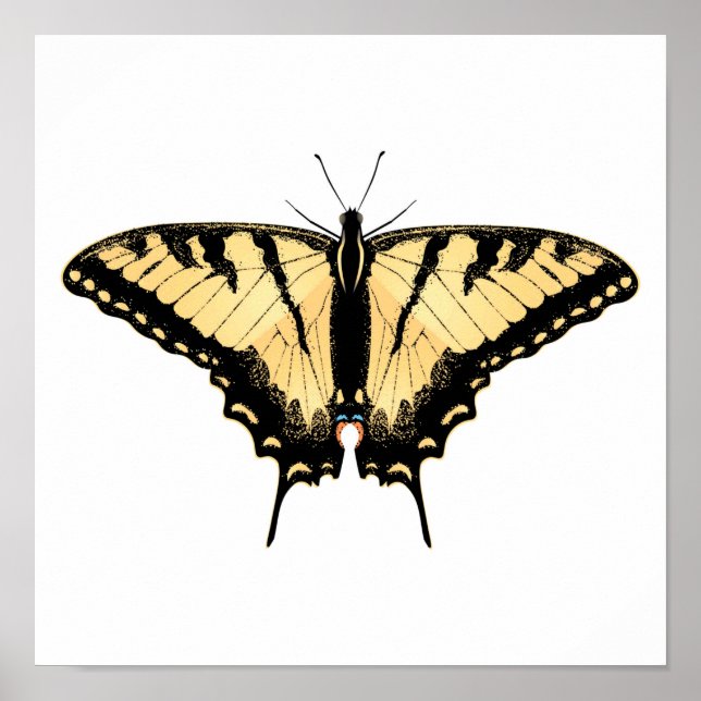 Tiger Swallowtail Butterfly Poster (Framsidan)