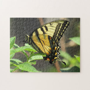 Tiger Swallowtail Butterfly Puzzle Pussel