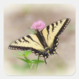 Tiger Swallowtail - Butterfly Square Sticker Fyrkantigt Klistermärke