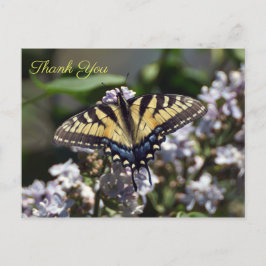 Tiger Swallowtail Butterfly Tack vykort