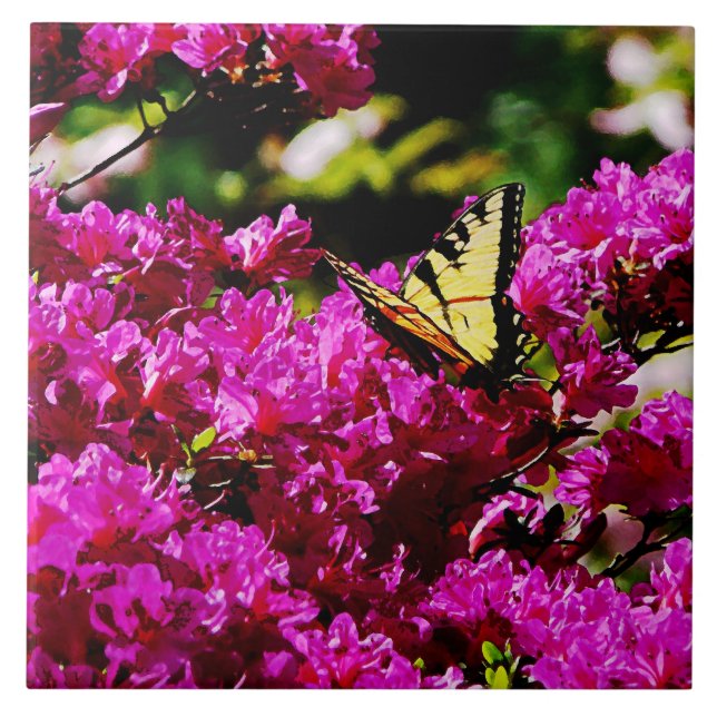 Tiger Swallowtail på Azalea Kakelplatta (Framsidan)