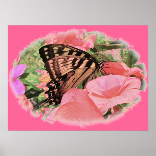 Tiger Swallowtail Poster (Framsidan)