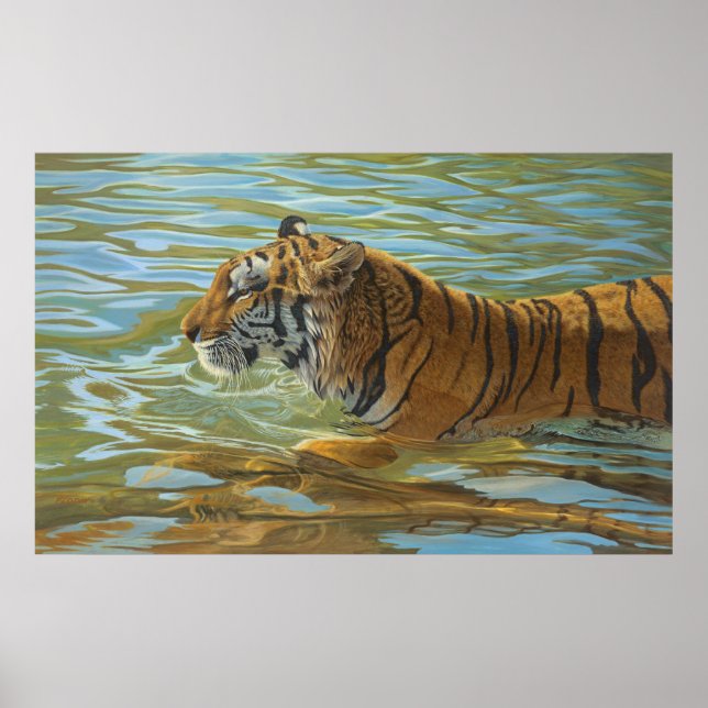 Tiger Swimming-målning - Poster (Framsidan)