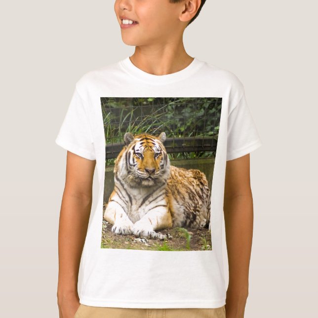 Tiger T-shirt (Framsida)
