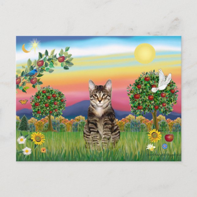 Tiger Tabby katt 1 - Bright Land Vykort (Framsida)