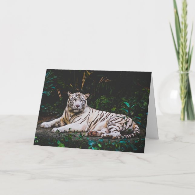 Tiger Tack Kort (Framsida)