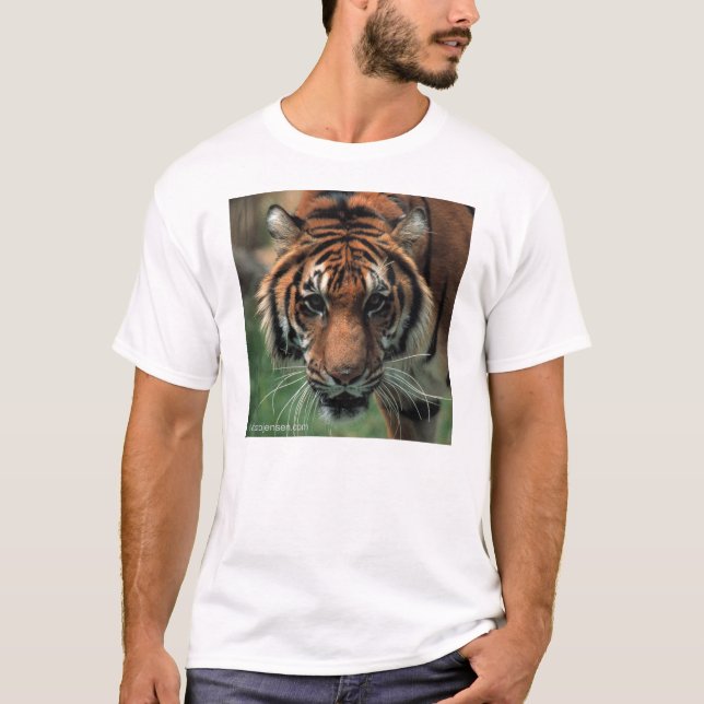 Tiger Tee Shirt (Framsida)