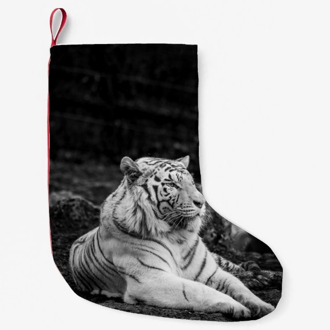 TIGER THINKING LITEN JULSTRUMPA (Framsidan)