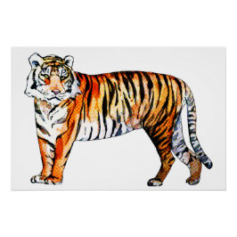 Tiger Tiger Tiger Perfect Poster