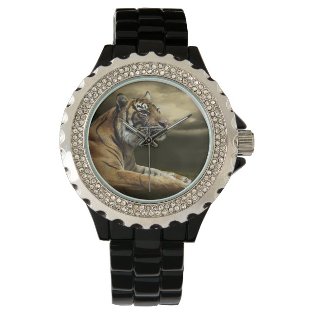 Tiger tittar och sitta under dramatisk himlar armbandsur (Framsida)