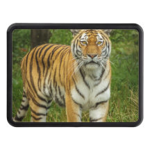 Tiger Trailer Hitch Cover
