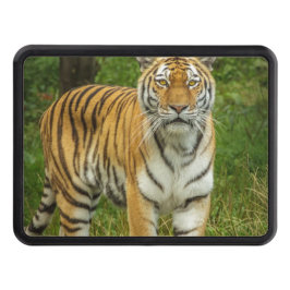 Tiger Trailer Hitch Cover Dragkroksskydd