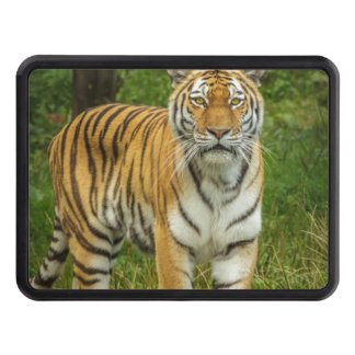 Tiger Trailer Hitch Cover Dragkroksskydd