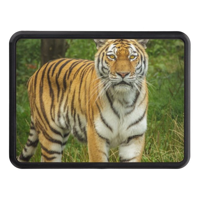 Tiger Trailer Hitch Cover Dragkroksskydd (Framsidan)