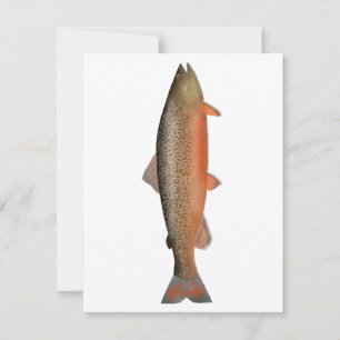 Tiger Trout Anteckningskort