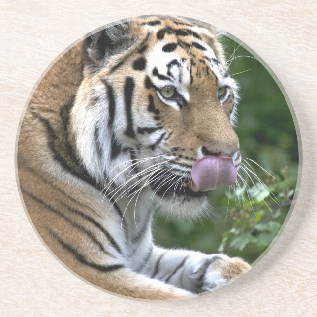 Tiger Tunga Underlägg (Framsidan)