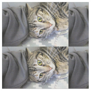 Tiger Tyg