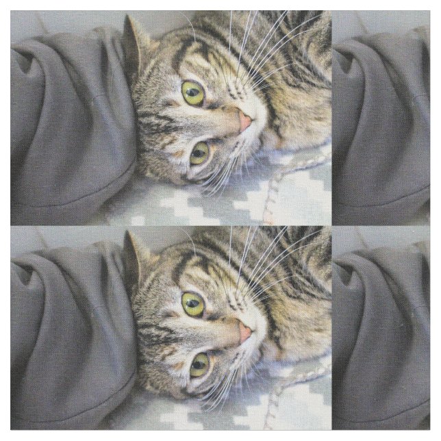 Tiger Tyg (Närbild)