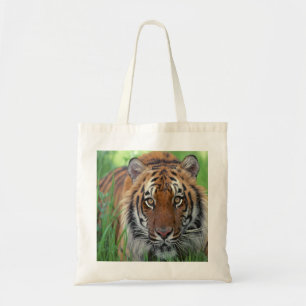 Tiger Tygkasse