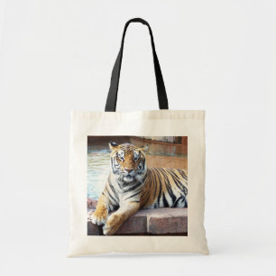 Tiger Tygkasse