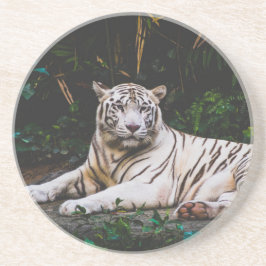 Tiger Underlägg